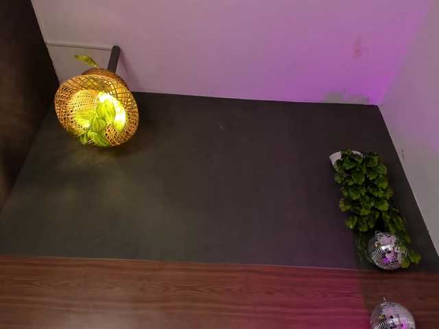 GinebraFox's BongaCams show and profile