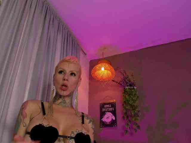 GinebraFox webcam