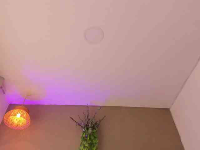 GinebraFox webcam