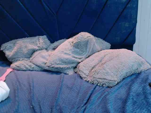 KittyBrooke webcam