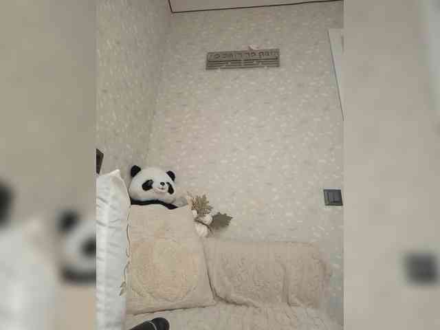Black_chick webcam