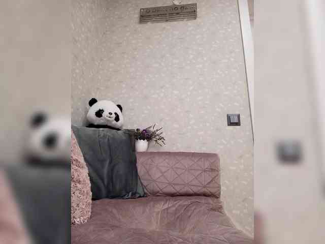 Black_chick webcam