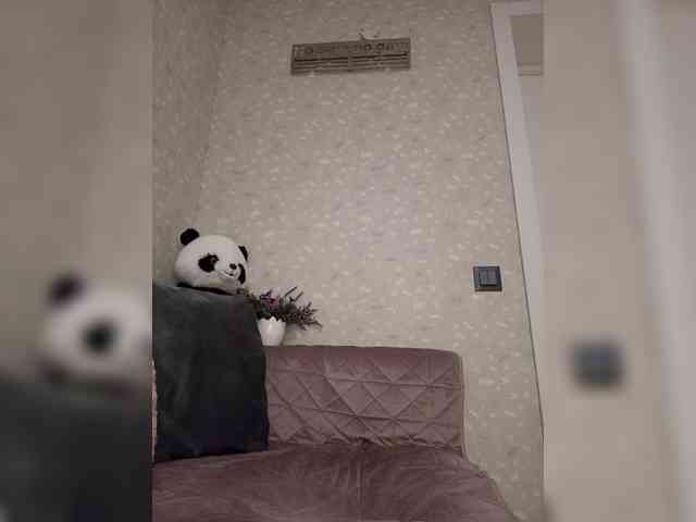 Black_chick webcam