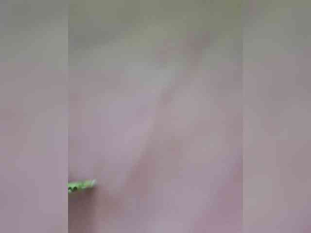 Lerohkaa webcam