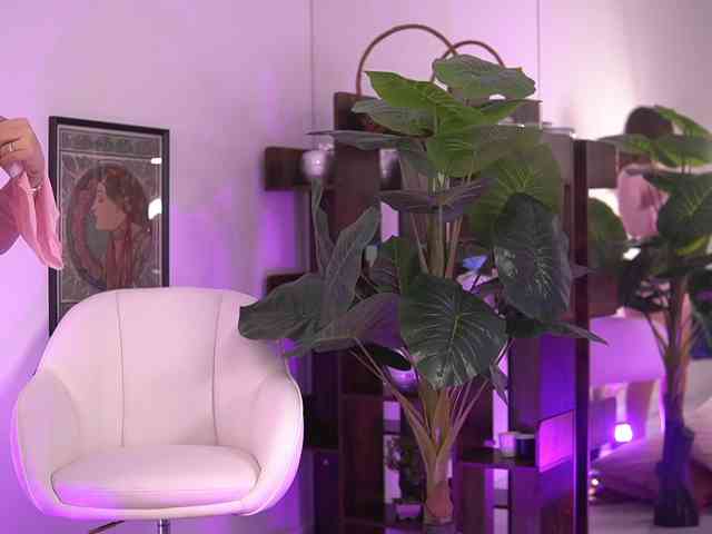 AvaReed Live Webcam on BongaCams