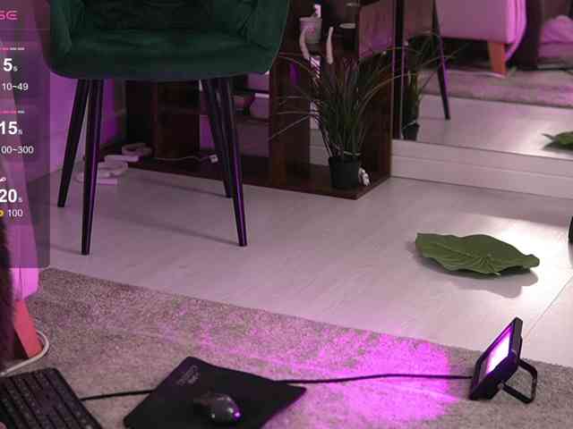 AvaReed webcam