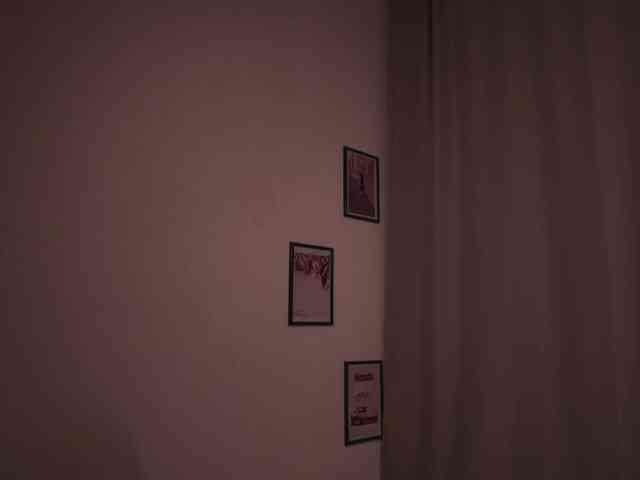 Maddison webcam