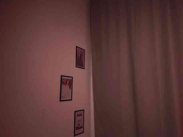 Maddison webcam