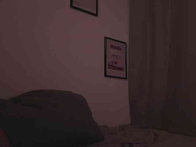 Maddison webcam