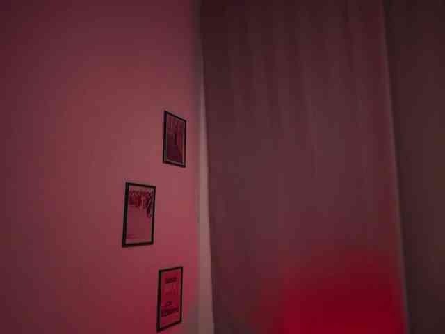 Maddison webcam