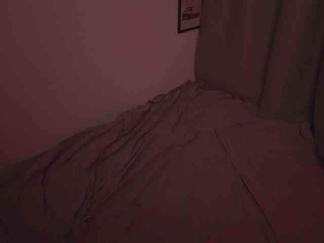 Maddison webcam