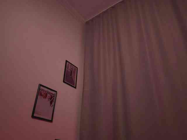 Maddison webcam