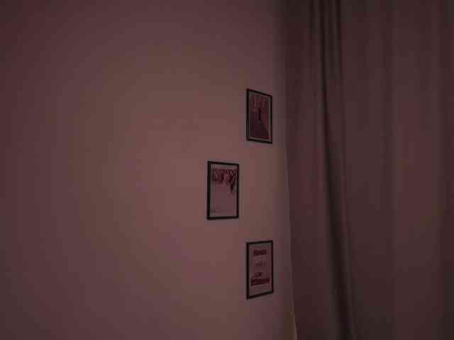 Maddison webcam