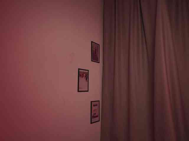 Maddison webcam