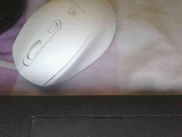 sweetcandy1 webcam