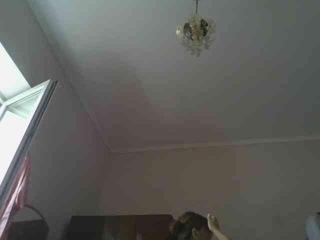 sweetcandy1 webcam