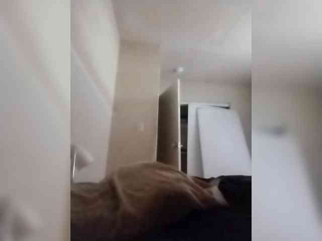 Quaylababe1 Quaylababe1