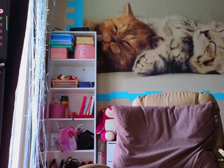 Mistress-Gwen Porn Show