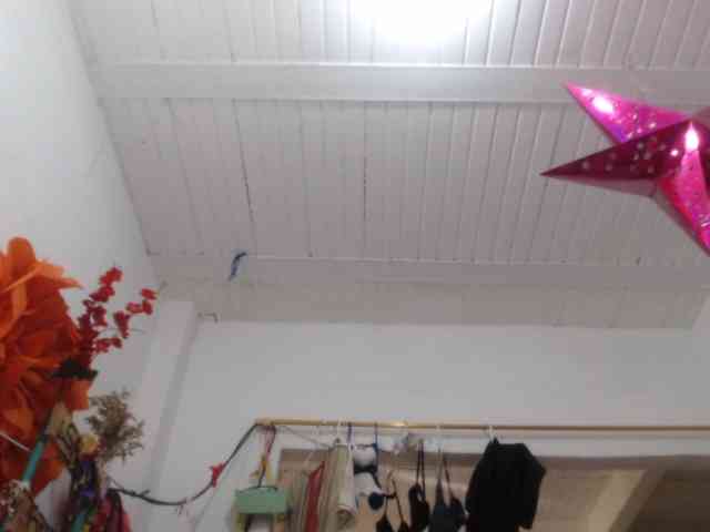 LADYQUEEN520 LADYQUEEN520