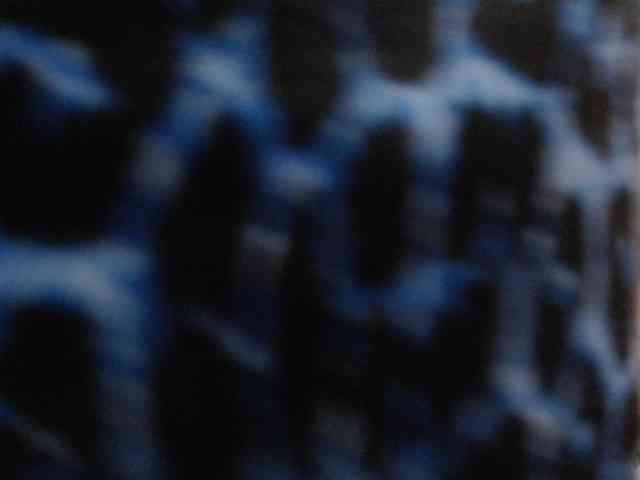 LADYQUEEN520 LADYQUEEN520