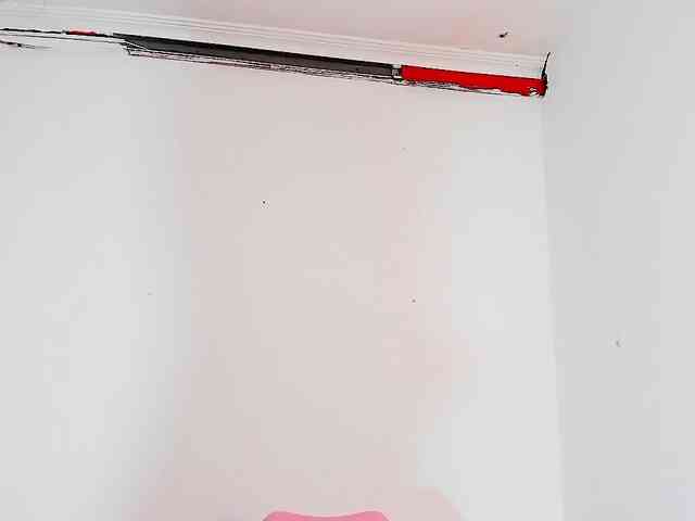 GeorginaStark webcam