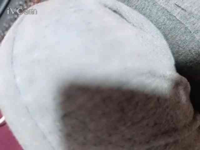 Missaudreys webcam