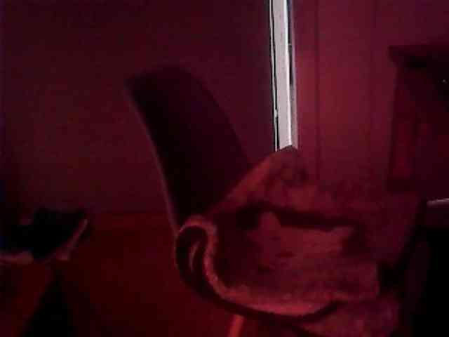Missaudreys webcam
