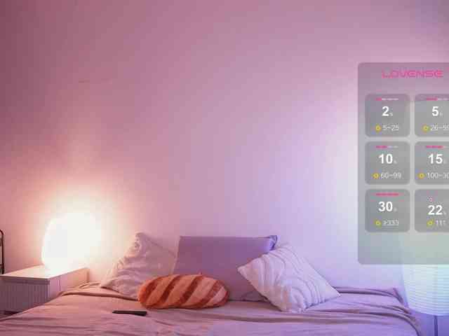 STANOVAYA300KG webcam