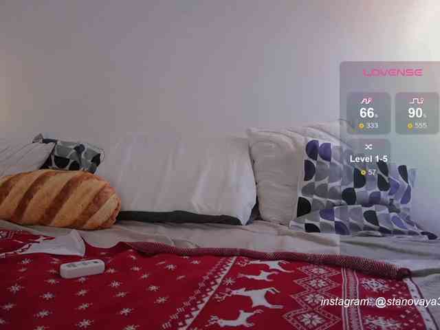 STANOVAYA300KG webcam