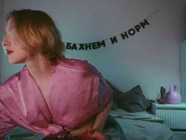 STANOVAYA300KG webcam