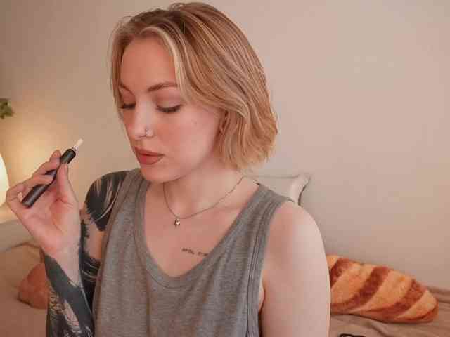 STANOVAYA300KG webcam