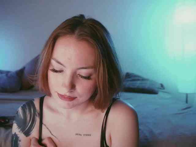 STANOVAYA300KG webcam