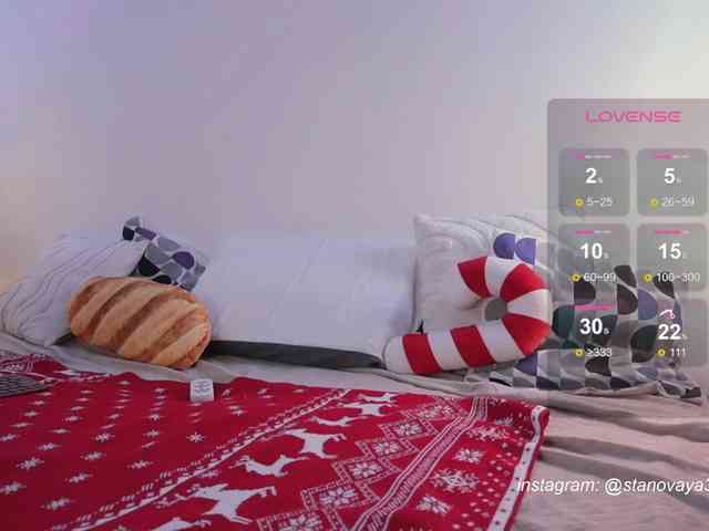 STANOVAYA300KG webcam