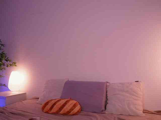 STANOVAYA300KG webcam