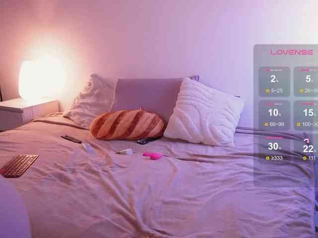 STANOVAYA300KG webcam