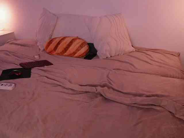 STANOVAYA300KG webcam