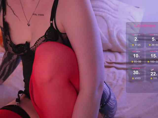 STANOVAYA300KG webcam