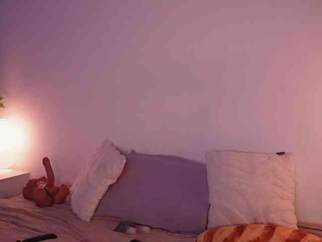 STANOVAYA300KG webcam