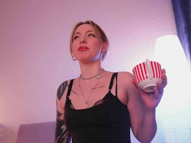 STANOVAYA300KG webcam