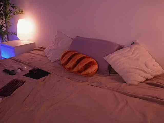 STANOVAYA300KG webcam