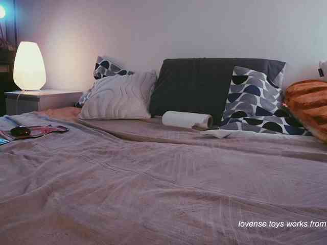 STANOVAYA300KG webcam