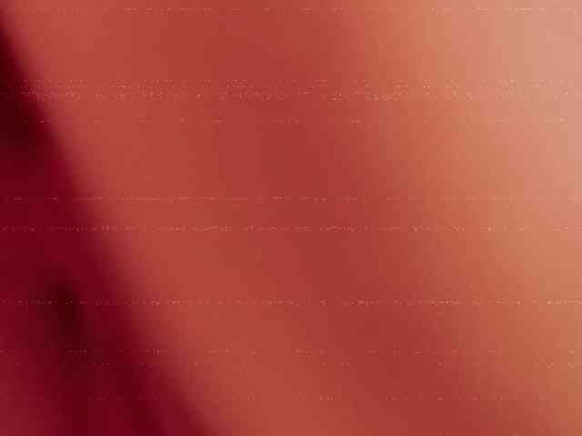 STANOVAYA300KG webcam