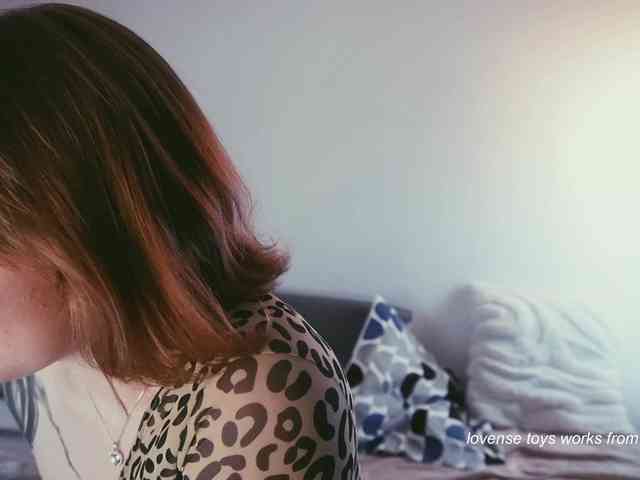 STANOVAYA300KG webcam