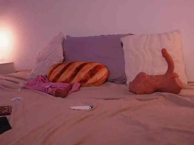 STANOVAYA300KG webcam