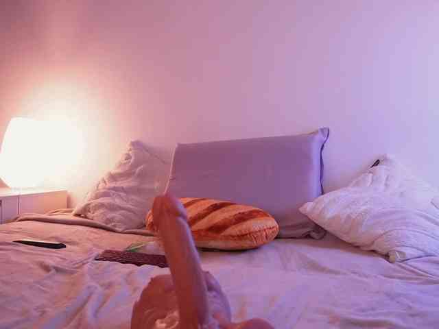 STANOVAYA300KG webcam