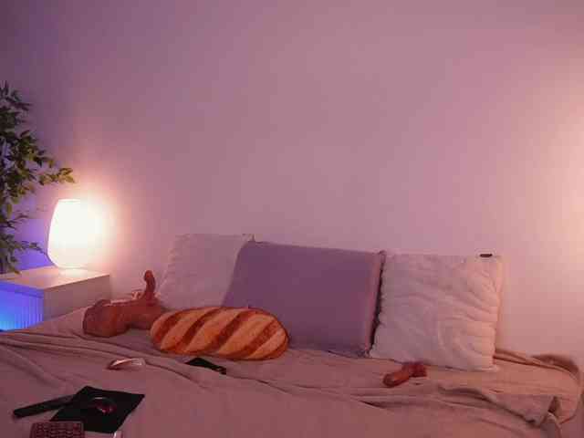 STANOVAYA300KG webcam