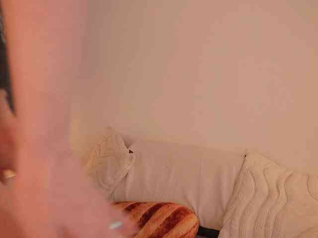 STANOVAYA300KG webcam