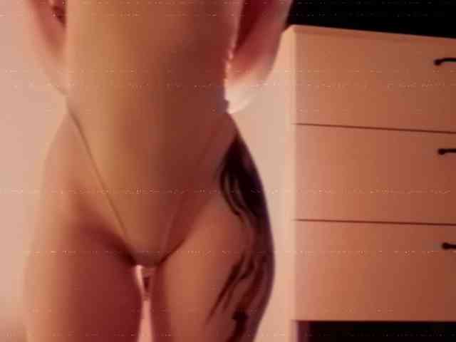 STANOVAYA300KG webcam