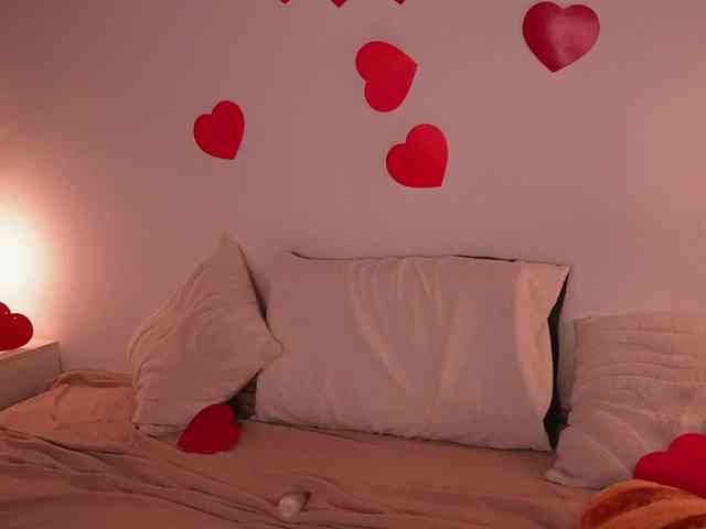 STANOVAYA300KG webcam