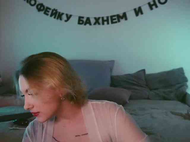 STANOVAYA300KG webcam